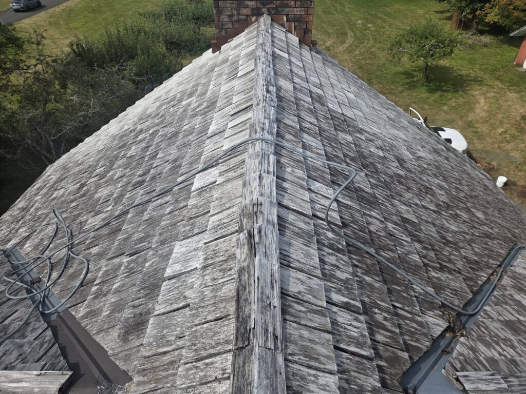Roof moss removal project in Port Angeles WA
