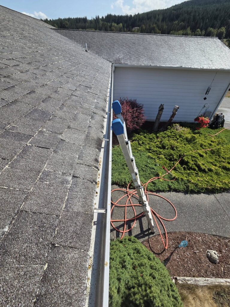 gutter cleaning