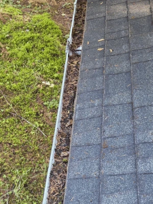 gutter-cleaning Angeles, WA, (1)