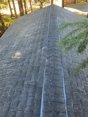 roof-cleaning Angeles, WA, (1)